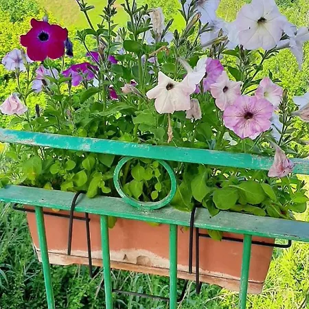 La Terrazza Mombarone Летний дом