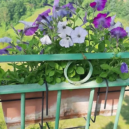 La Terrazza Mombarone