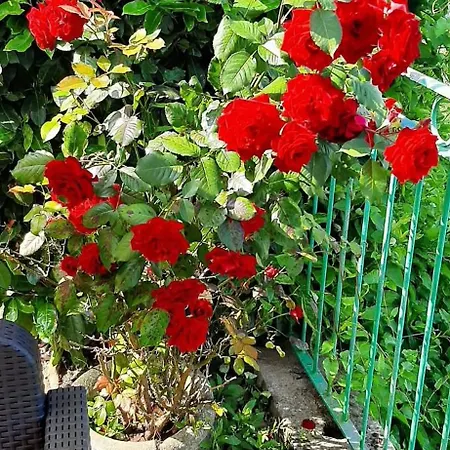 La Terrazza Mombarone Летний дом